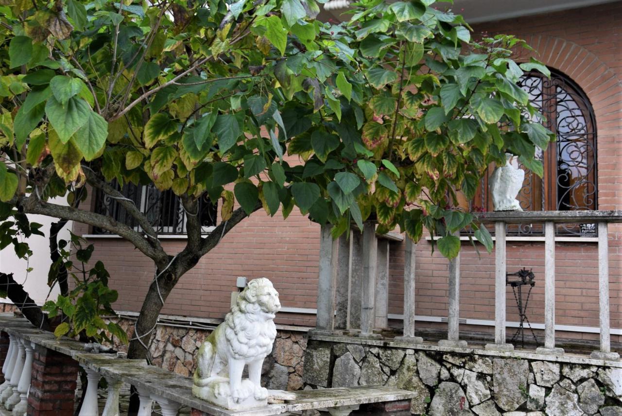 B&B Vittoria Colonna Marino Dış mekan fotoğraf